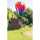 HQ Windspiel Hot Air Balloon Twist Sunrise