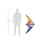 Quickstep II Rainbow R2F