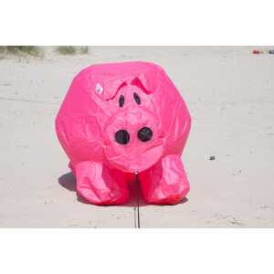 Bouncing Buddy Porky