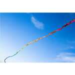 Fuzzy Tail 20 m (Fransenschwanz)