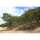 Invento just play Slackline Invento just play, 15 m