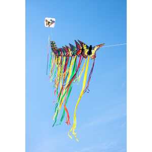 Butterfly Kite Ruby R