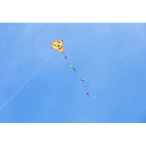 Ecoline: Eddy Happy Face 50cm