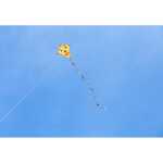 Ecoline: Eddy Happy Face 50cm