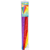 Ecoline Kinderdrachen Eddy Rainbow 70cm