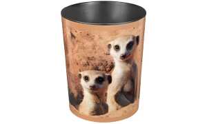 Motiv-Poster Papierkörbe 13L Erdmännchen, 24,5x30cm