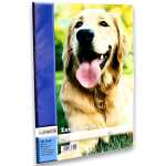 Zeichenblock perforiert, A4, 20 Blatt, 100 g/m², 4...