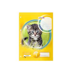 Arbeitsblock A4, 50 Blatt, 80 g/m², 4fach gelocht, Lineatur 1