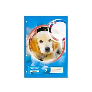 Arbeitsblock A4, 50 Blatt, 80 g/m², 4fach gelocht, Lineatur 2