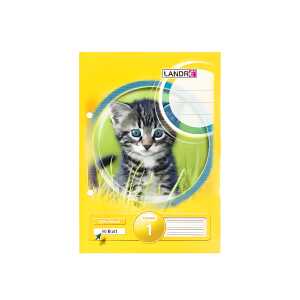 Schulblock A5, kopfgeleimt, 50 Blatt, 80 g/m², gelocht, Lineatur 1