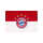 Fahne Logo 90x60cm rot/weiss FCBAYERN 28327