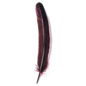 Herbin Gänsekiel, 28 cm lang - bordeauxrot