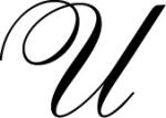 Herbin Siegel Italic U 3188550403216