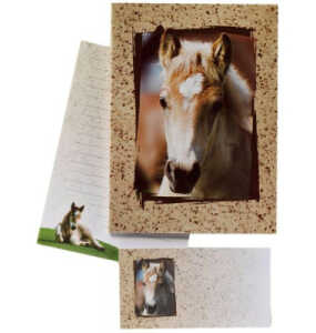 Briefpapiermappe Kinder 10/10 braun DFW 180344 Fohlen liniert