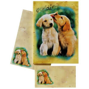 Briefpapiermappe Kinder 10/10 farb. DFW 180350 Hundewelpen
