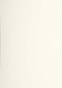 Lalo Strohpapier A4 200g 20Bl 3140290416161