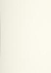 Lalo Strohpapier A4 200g 20Bl 3140290416161