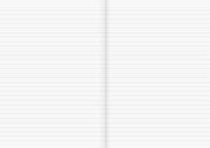 BRUNNEN Schulheft A4 liniert Lineatur 21 16 Blatt Recyclingpapier