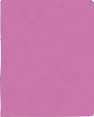 BRUNNEN Ringbuch A4 FACT!plus 2-Ringe 15mm pink 106550922