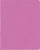 BRUNNEN Ringbuch A4 FACT!plus 2-Ringe 15mm pink 106550922