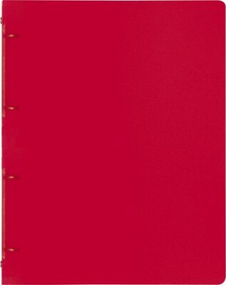 BRUNNEN Ringbuch A4 FACT! 16mm 4-Ringe red 106554623