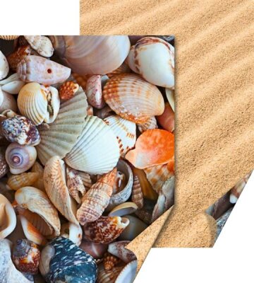 HEYDA 204772289 Motivkarton Naturstrukturen Muscheln/Sand 50 x 70 cm