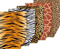 HEYDA Karton 50x70 300g Safari sortiert 204772299