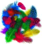 HEYDA Perlhuhnfedern 4 - 6 cm 4 Farben sortiert (gelb rot...