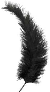 KNORR PRANDELL 216615619 Feder ca. 35 cm schwarz