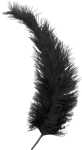 KNORR PRANDELL 216615619 Feder ca. 35 cm schwarz