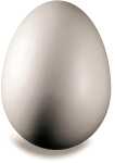 KNORR PRANDELL 216768032 Styropor-Ei 45 x 3 cm Styropor...