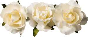 KNORR PRANDELL Dekostreu Blumen Papierblume Ø 25 cm Papier creme