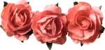 KNORR PRANDELL Dekostreu Blumen Papierblume Ø 25...