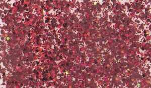 KNORR PRANDELL 218099115 Glitterfarbe Flaky Glue rot