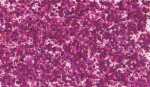 KNORR PRANDELL 218099125 Glitterfarbe Flaky Glue pink