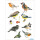 Herma Sticker DECOR Tiere Aquarell Vögel 3 Bl