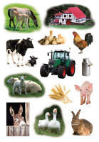 Herma Sticker DECOR Tiere Bauernhoftiere 3 Bl