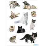 Herma Sticker DECOR Tiere Katzenfotos 3 Bl 4008705034333