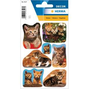 Herma Sticker DECOR Tiere Katzenfotos 3 Bl 4008705035279