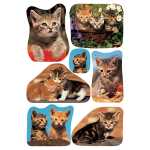 Herma Sticker DECOR Tiere Katzenfotos 3 Bl 4008705035279