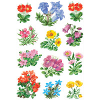 Herma Sticker DECOR Blumen Gebirgsblumen 3 Bl