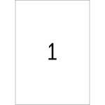 Herma Etiketten permanent haftend 210 x 297 mm grün 100 Bl 100 Etik.