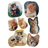 Herma Sticker DECOR Tiere Fotogene Kätzchen 3 Bl