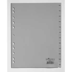 Durable Ordnerregister A4 Dez-Jan gr 12teilig geprägte Taben