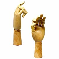 KOH Modell Hand  Frauenhand rechts ca. 25 cm