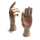 CMI Modell Hand - Kinderhand links ca. 18 cm