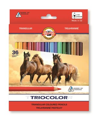 KOH Buntstifte Triocolor Jumbo Schul- Farbstifte 5,6 mm Mine 36 er Pack