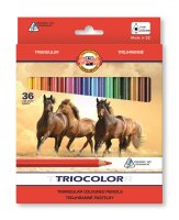 KOH Buntstifte Triocolor Jumbo Schul- Farbstifte 5,6 mm...