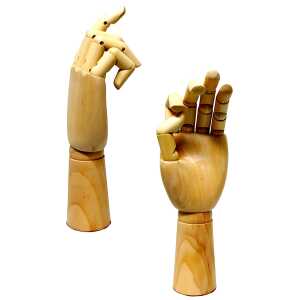 CMI Modell Hand - Männerhand rechts ca. 30 cm