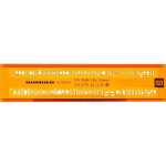 ISONORM B 3098/1 Mittelschrift kursiv 1 Stück...